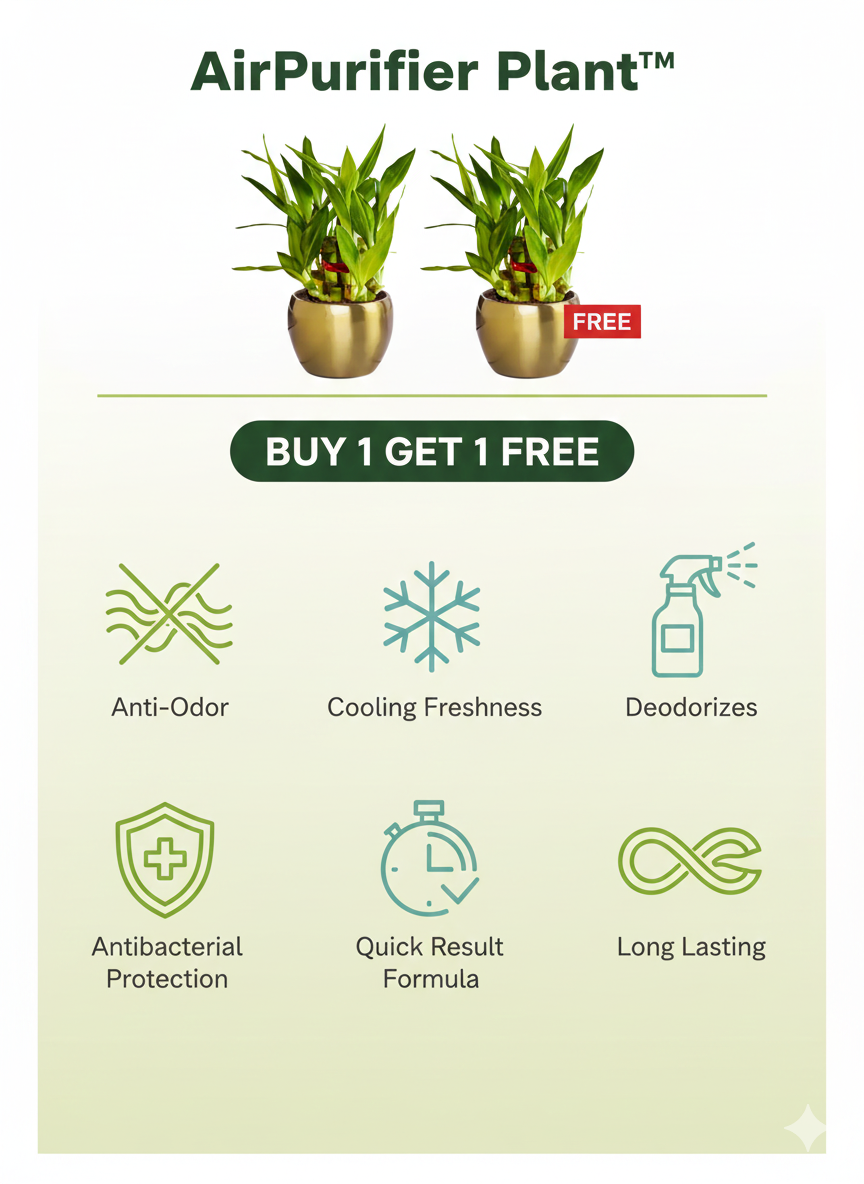 AirPurifier Plant™  BUY 1 GET 1 FREE