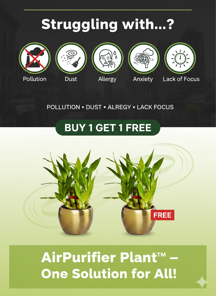 AirPurifier Plant™  BUY 1 GET 1 FREE